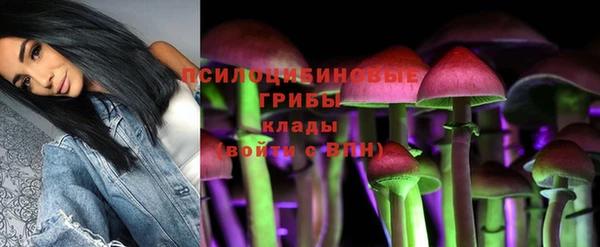 наркотики Краснослободск